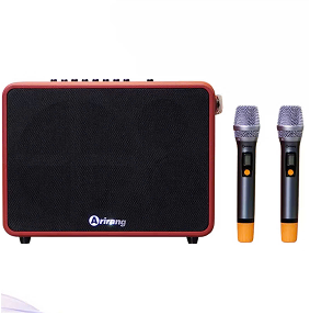 LOA XÁCH TAY 300W - KÈM MICRO KHÔNG DÂY